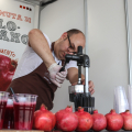 Terra Madre - Salone del Gusto