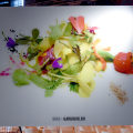 Inaugurazione della Nuvola Lavazza come polo di Terra Madre Salone del Gusto