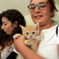 IMG_6517-copia
