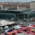 Palafuksas oggi