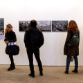 IMG_7790-copia