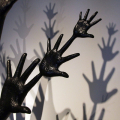 IMG_0653-copia