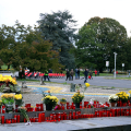 Cimitero Parco