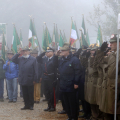 IMG_8119-copia