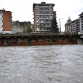 Lungo Dora Firenze, Ponte delle Benne