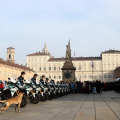 IMG_8801-copia