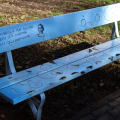 Le panchine decorate dai ragazzi del Primo Liceo Artistico