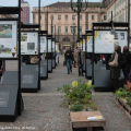 Barriera C\'Entro in mostra in Piazza San Carlo