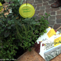 I giardini di Stilema