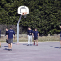 AMA_3086