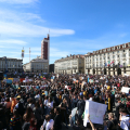 IMG_0223-copia