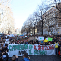 IMG_9931-copia