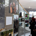 Behind the Indian Boom - Campus Einaudi