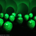 Bwindi Light Masks, Richi Ferrero