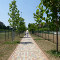 Parco Pietro Mennea