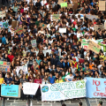 pla_2015