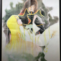 pla_3988
