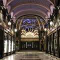 Migrazione (Climate Change), Piero Gilardi, Galleria San Federico