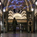 Migrazione (Climate Change), Piero Gilardi, Galleria San Federico