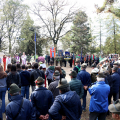 pla_7966