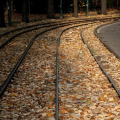 Viale I Maggio