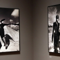Helmut Newton. Works