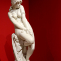 pla_3848