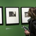 Memoria e Passione. Da Capa a Ghirri. Capolavori dalla collezione Bertero