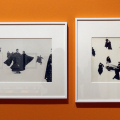 Mario Giacomelli, Io non ho mani che mi accarezzino il volto, 1963