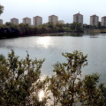 pla_4499
