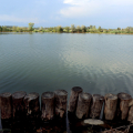 pla_4501