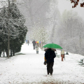 Viale Suor Giovanna Francesca Michelotti