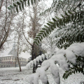 Viale dei Partigiani