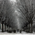 Strada delle Cacce