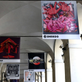 Spazio Portici – Percorsi Creativi