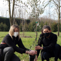 Chiara Appendino e Loredana Polito mettono a dimora la pianta d'ulivo