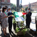 Lo scoprimento della targa