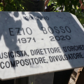 Ezio Bosso: Musicista, direttore d'orchestra, compositore, divulgatore, Mod