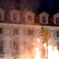 Le fiamme avvolgono il Toro