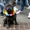 Torino Pride 2021