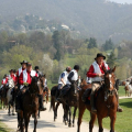9 aprile, arrivano i Cavalieri della Sindone