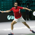 Marin Cilic