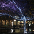 Percorso di Luci - giardini Sambuy