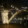 Percorso di Luci - giardini Sambuy