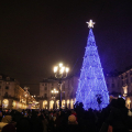 L'Albero di Natale in piazza Vittorio Veneto