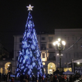 L'Albero di Natale in piazza Vittorio Veneto