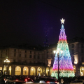 L'Albero di Natale in piazza Vittorio Veneto