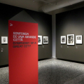 Capolavori della fotografia moderna 1900-1940. La collezione Thomas Walther del Museum of Modern Art, New York” | CAMERA