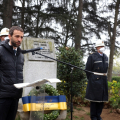 Daniele Valle