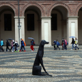 Animali a Corte. Vite mai viste nei Giardini Reali